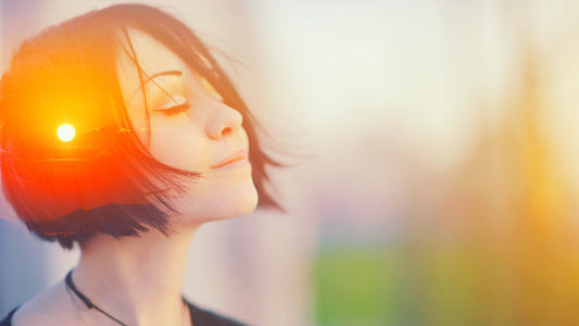 Can Kanna (Sceletium Tortuosum) Really Improve Mood and Focus? A Look at the Latest Research