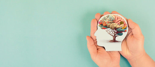 Kanna Dosing 101: A Beginner’s Guide to Kanna Dosages