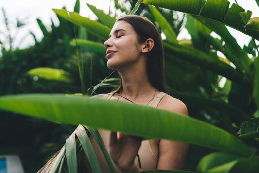 What Is Kanna? The Ancient Plant Behind Modern Calm