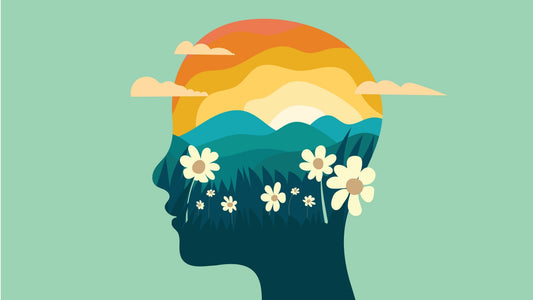 Kanna Extract: Benefits, Uses, Risks and Side Effects